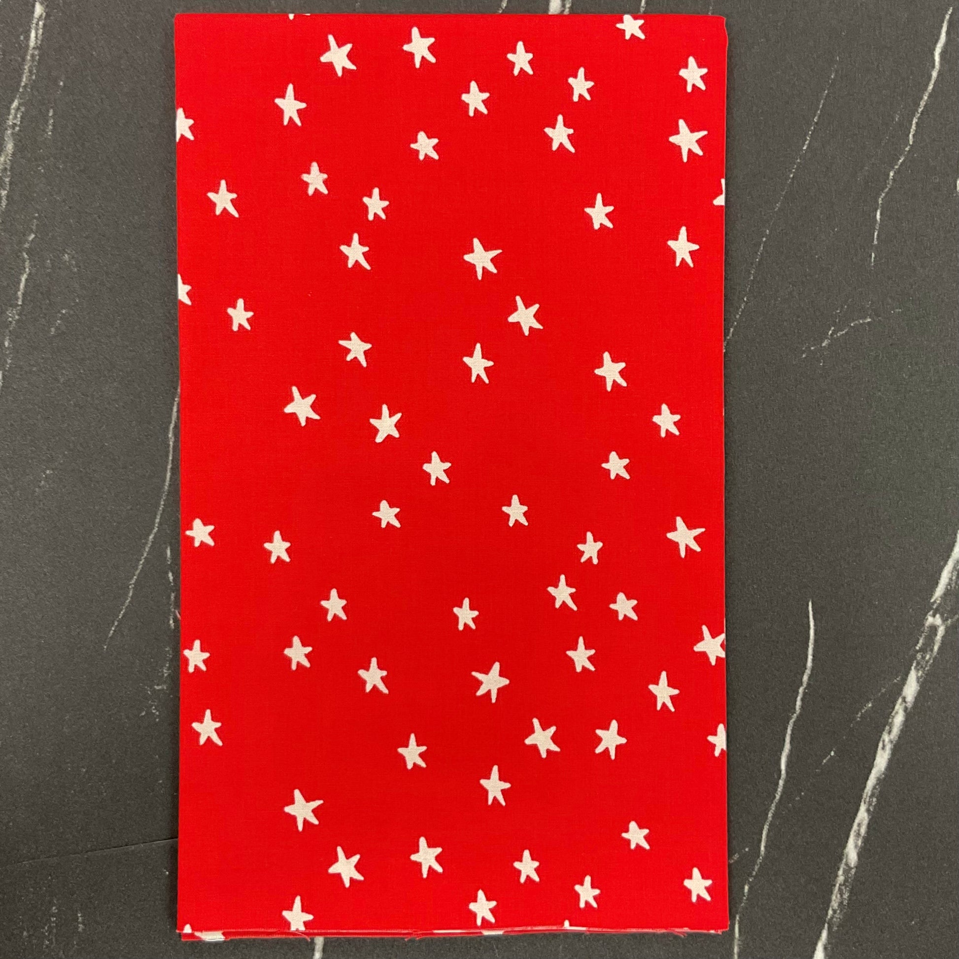 Starry 2025 by Alexia Abegg - New Ladybug RS4109 74