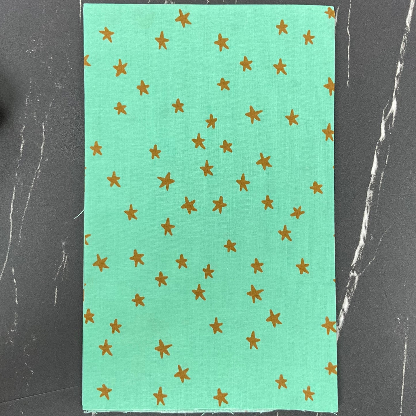 Starry 2025 by Alexia Abegg - New Moss RS4109 88