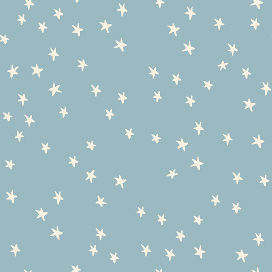 Starry 2025 by Alexia Abegg - New Soft Blue RS4109 84