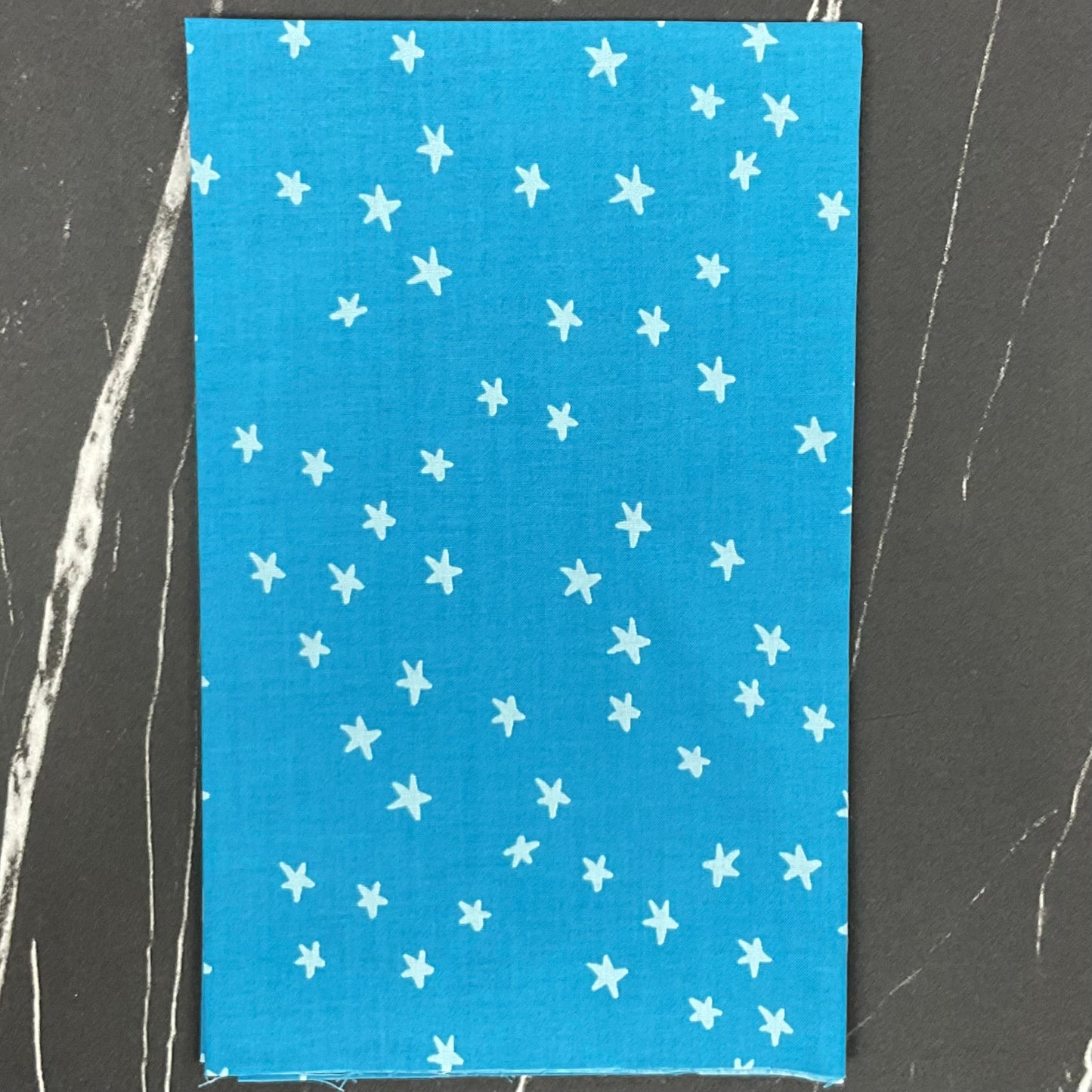Starry 2025 by Alexia Abegg - New Vintage Blue RS4109 85