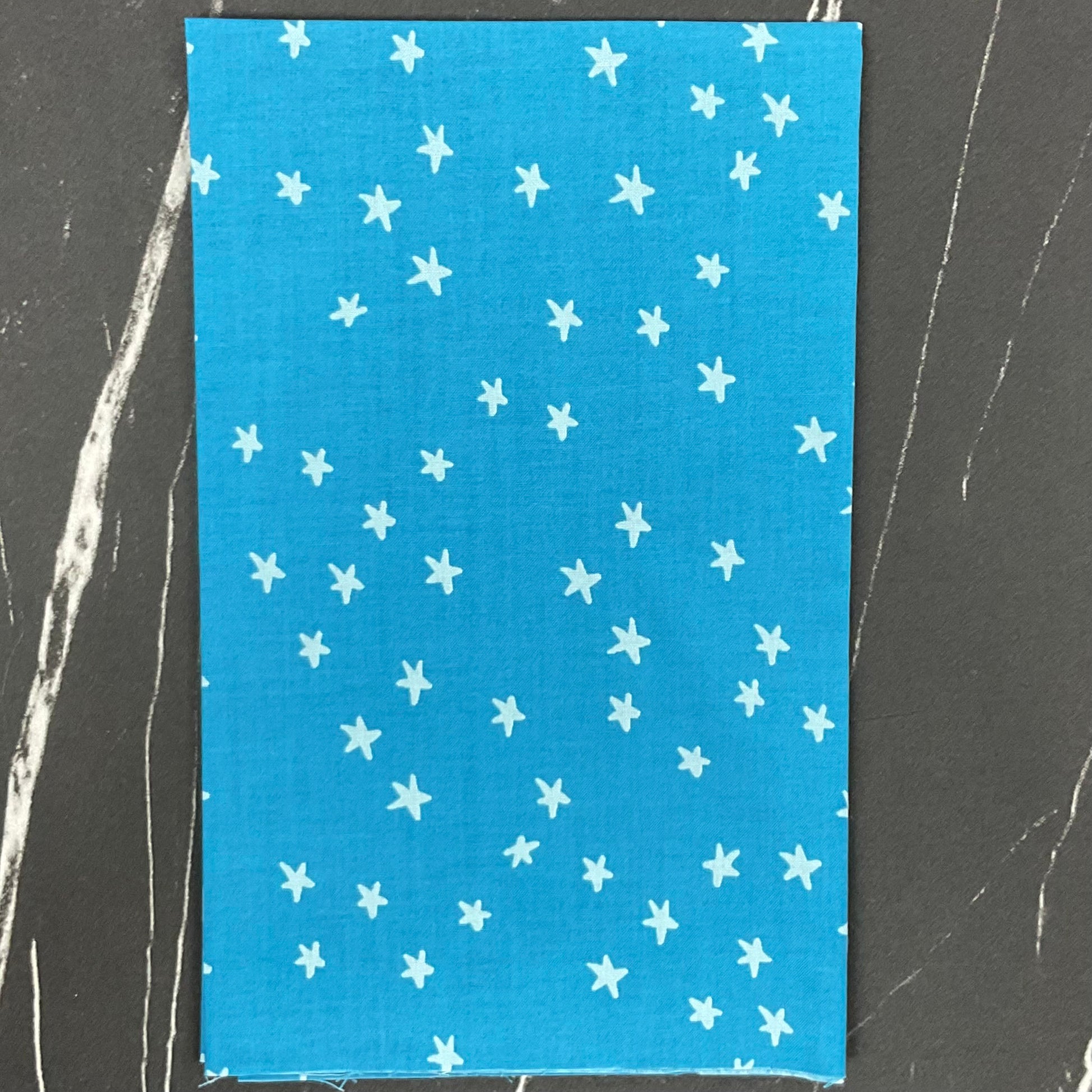 Starry 2025 by Alexia Abegg - New Vintage Blue RS4109 85