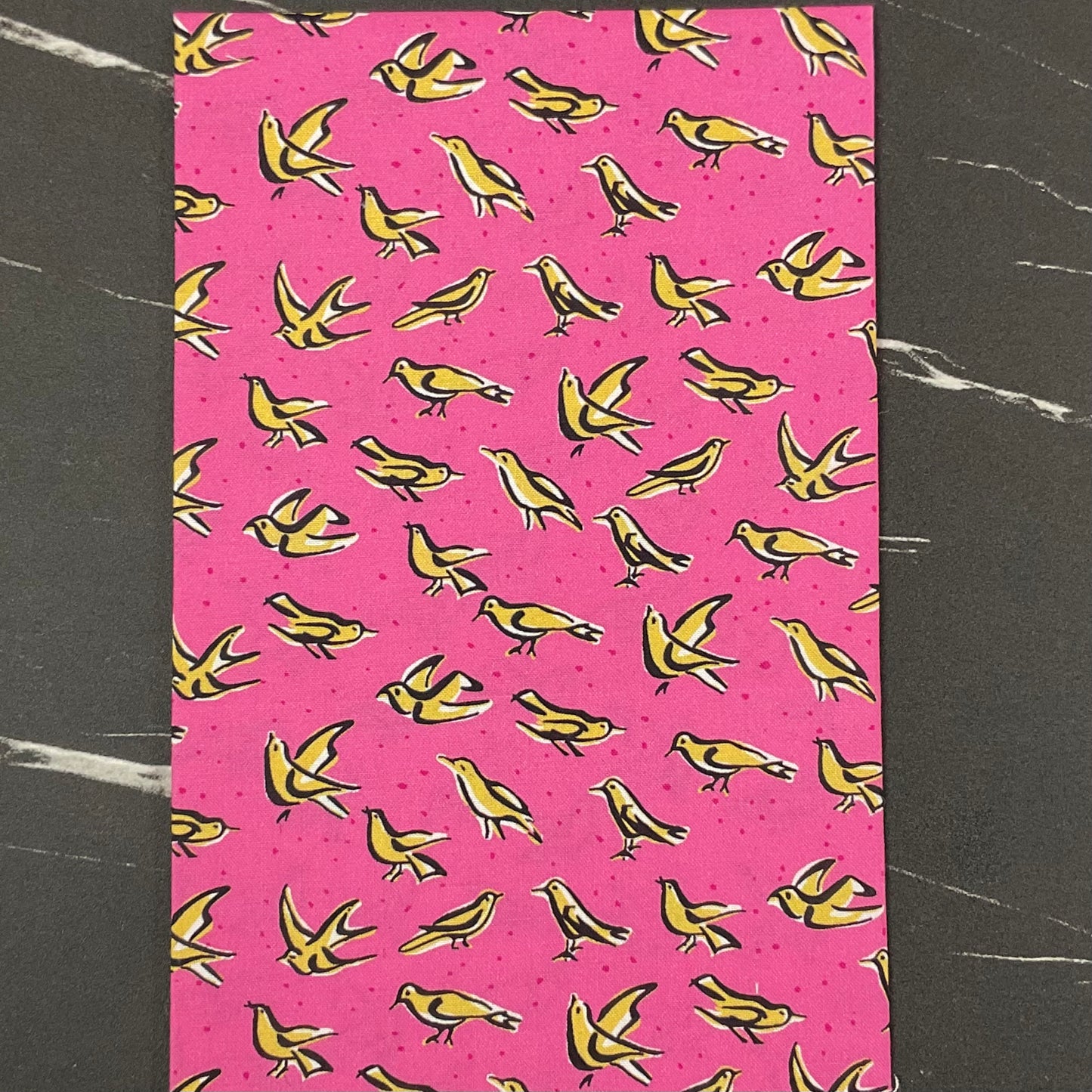 Summer Sun by Vera® : Feed the Birds 228824