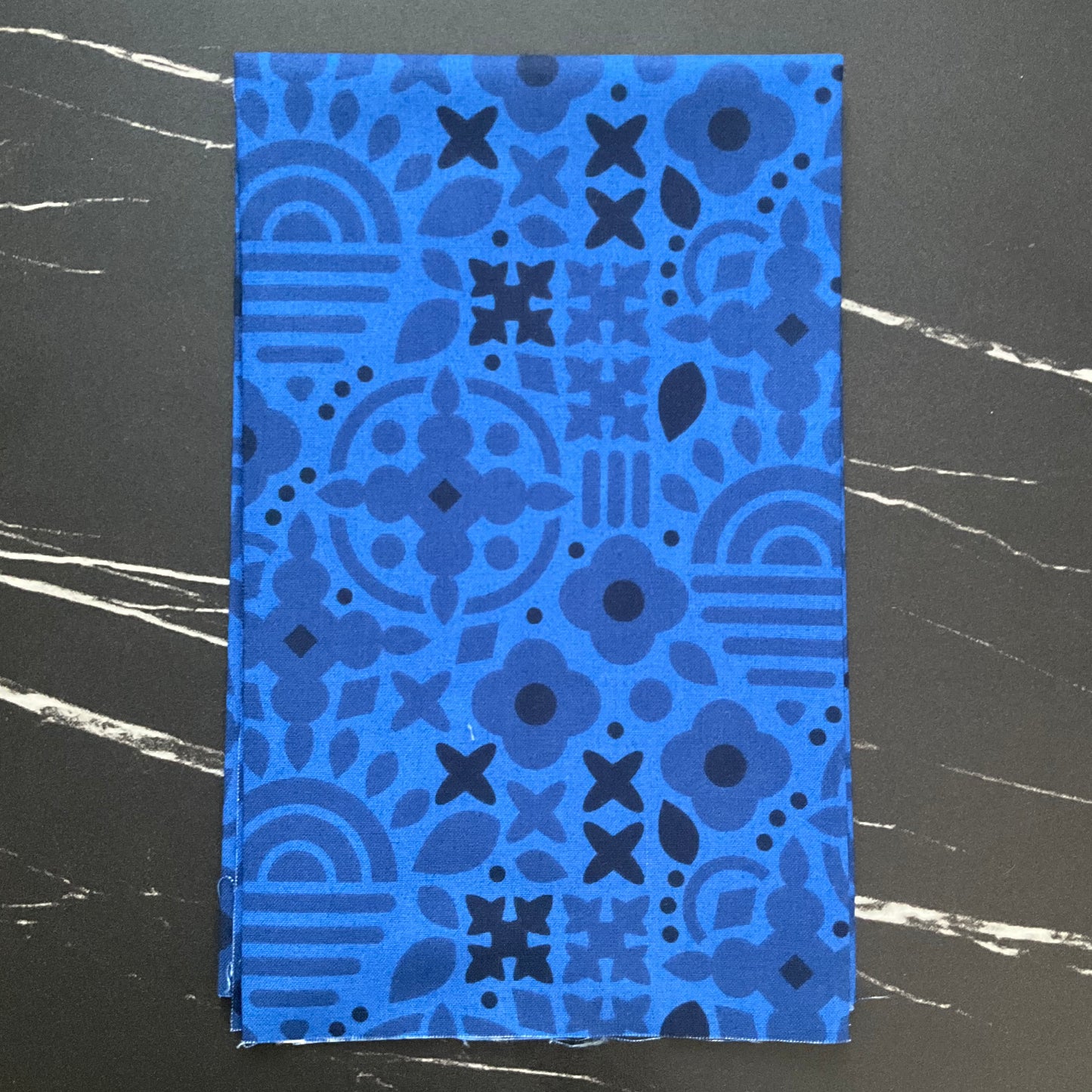 Sun Print 2025 by Alison Glass - Bundles