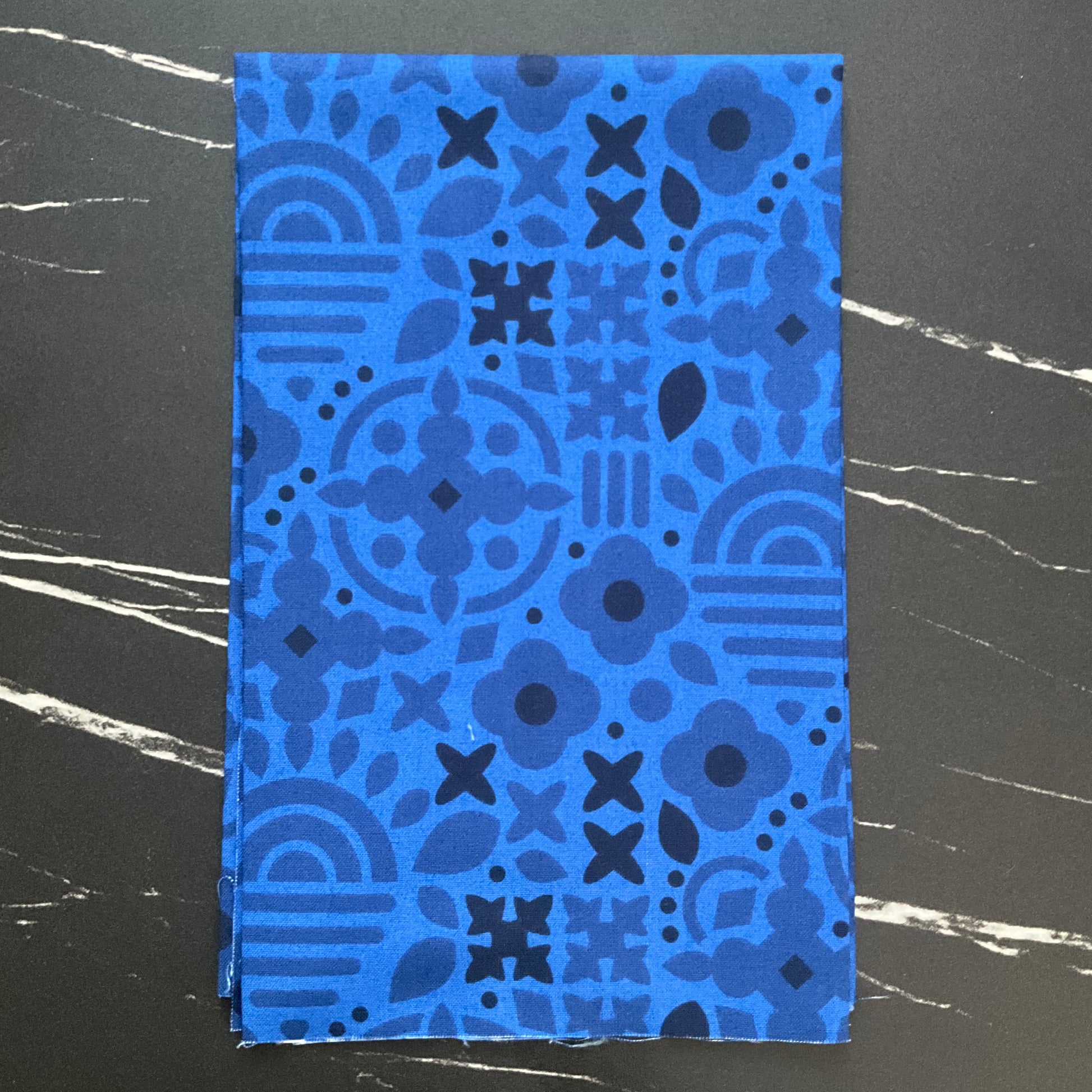 Sun Print 2025 by Alison Glass - Bundles