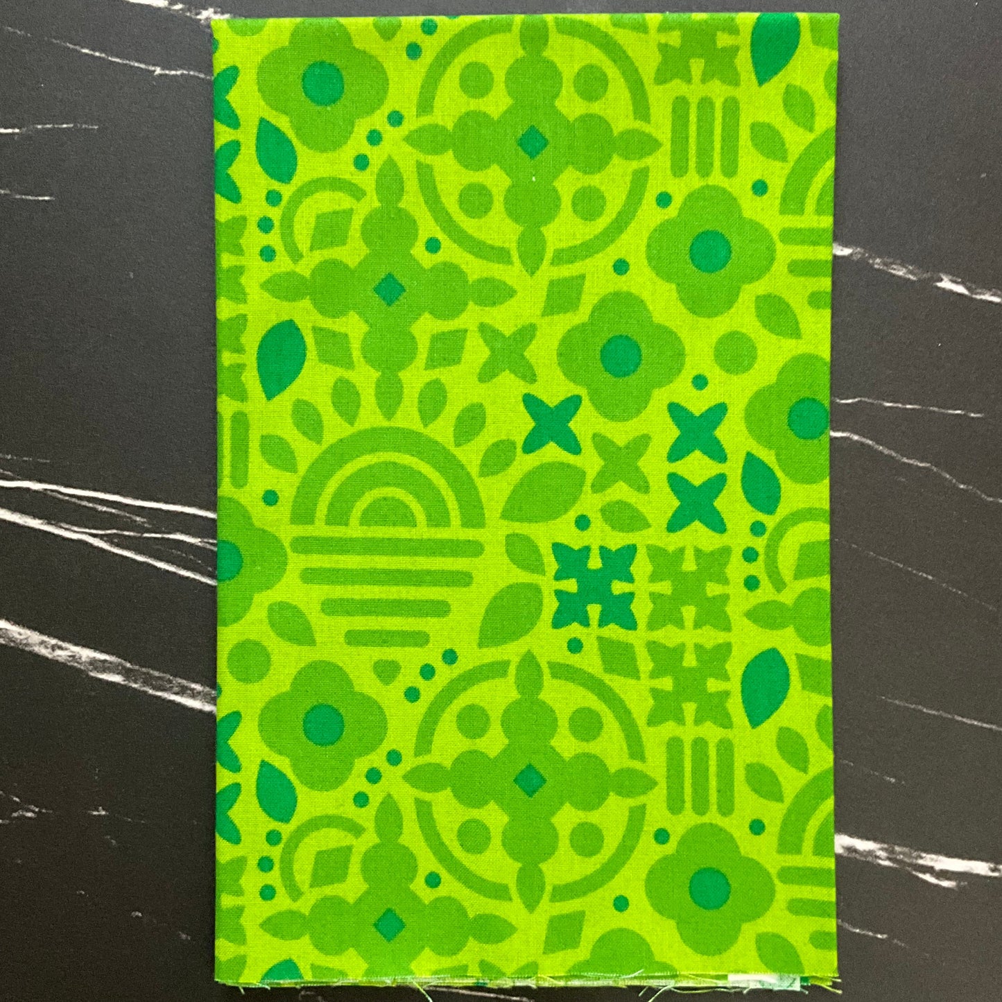 Sun Print 2025 by Alison Glass - Fabric Bundles