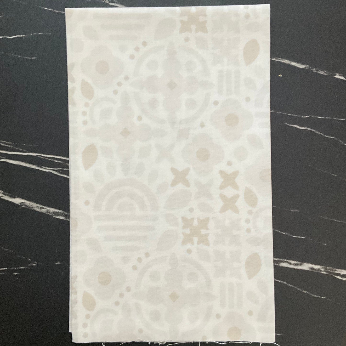 Sun Print 2025 by Alison Glass - Fabric Bundles