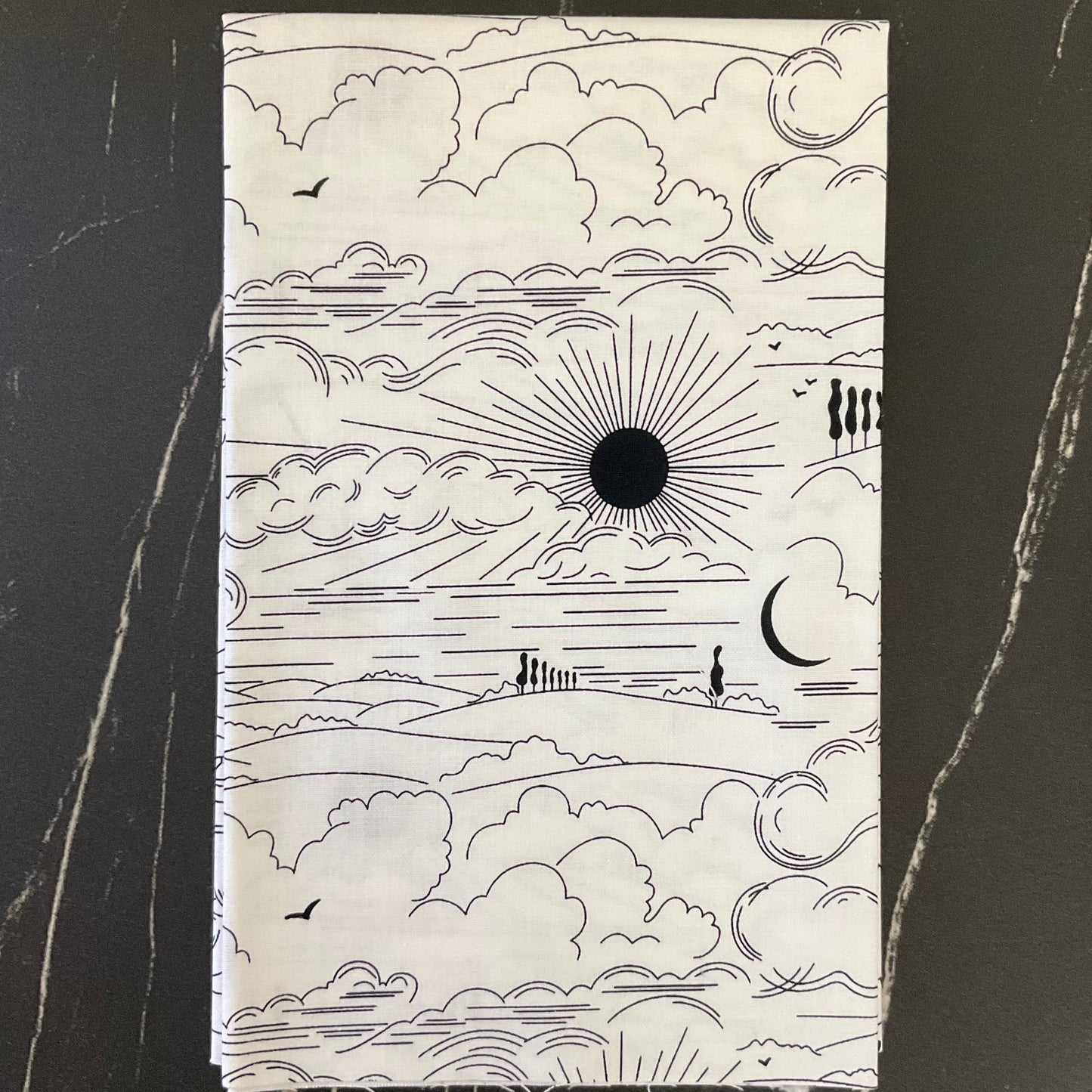 Sun Print Whisper by Alison Glass : Fabric Bundles