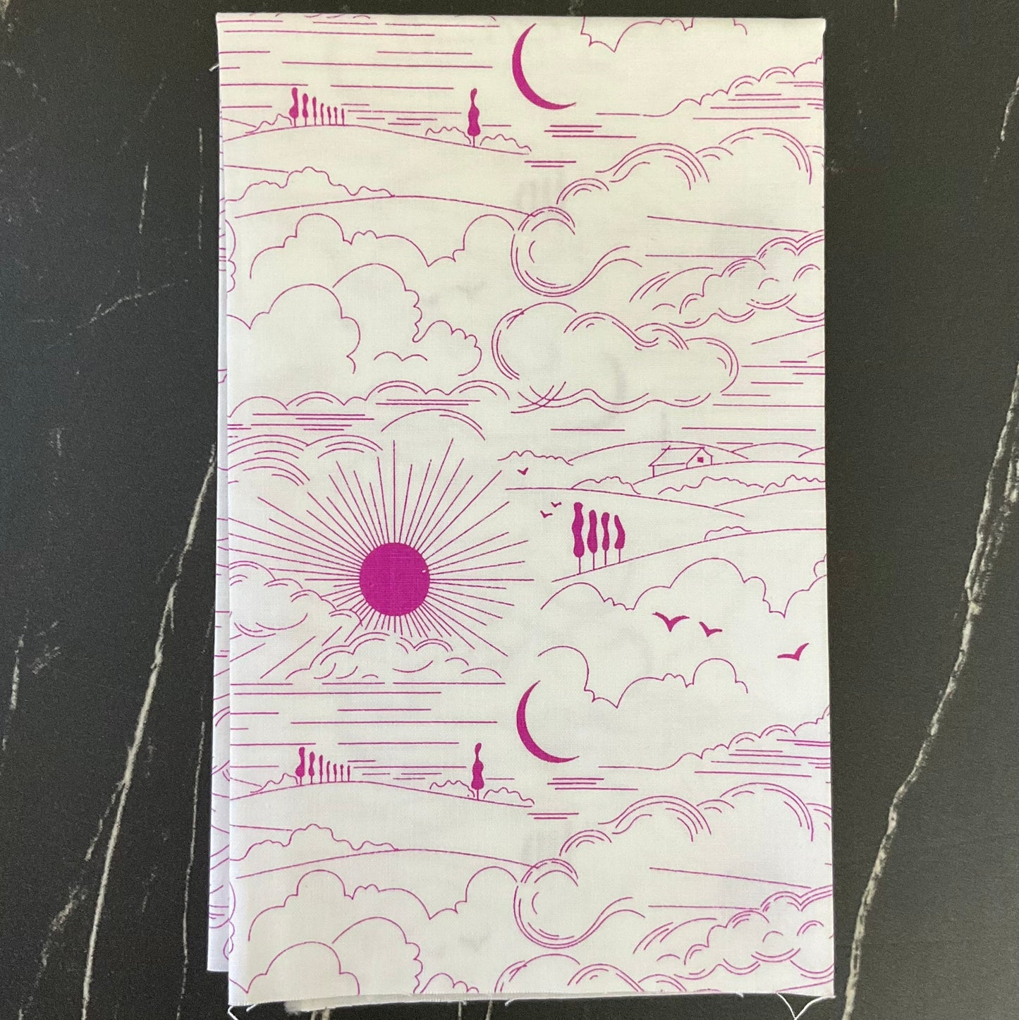 Sun Print Whisper by Alison Glass : Fabric Bundles