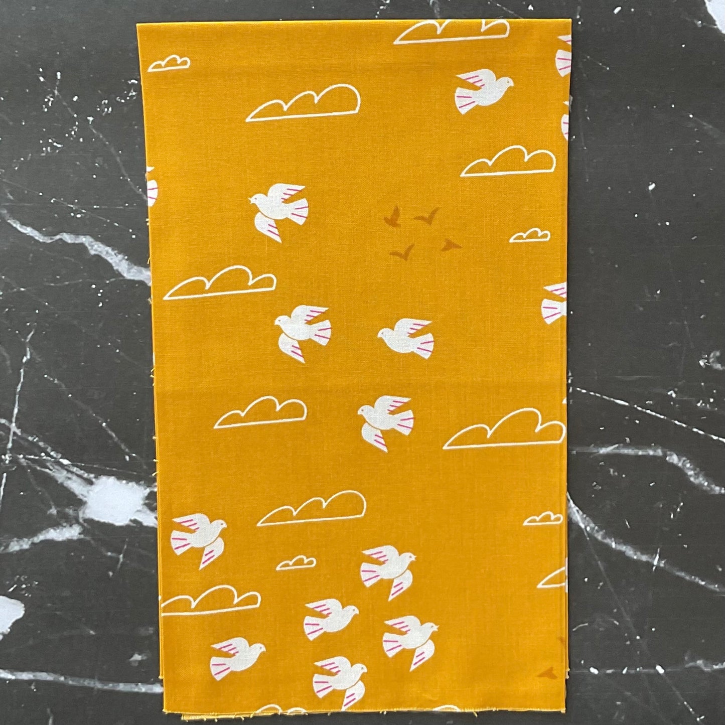 Sunbeam by Rashida Coleman Hale - Bundles