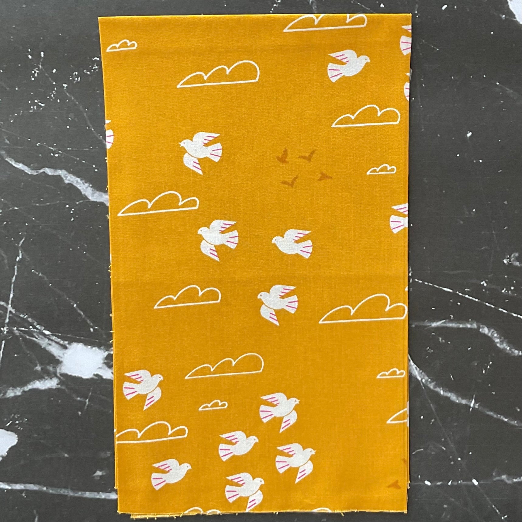 Sunbeam by Rashida Coleman Hale - Bundles