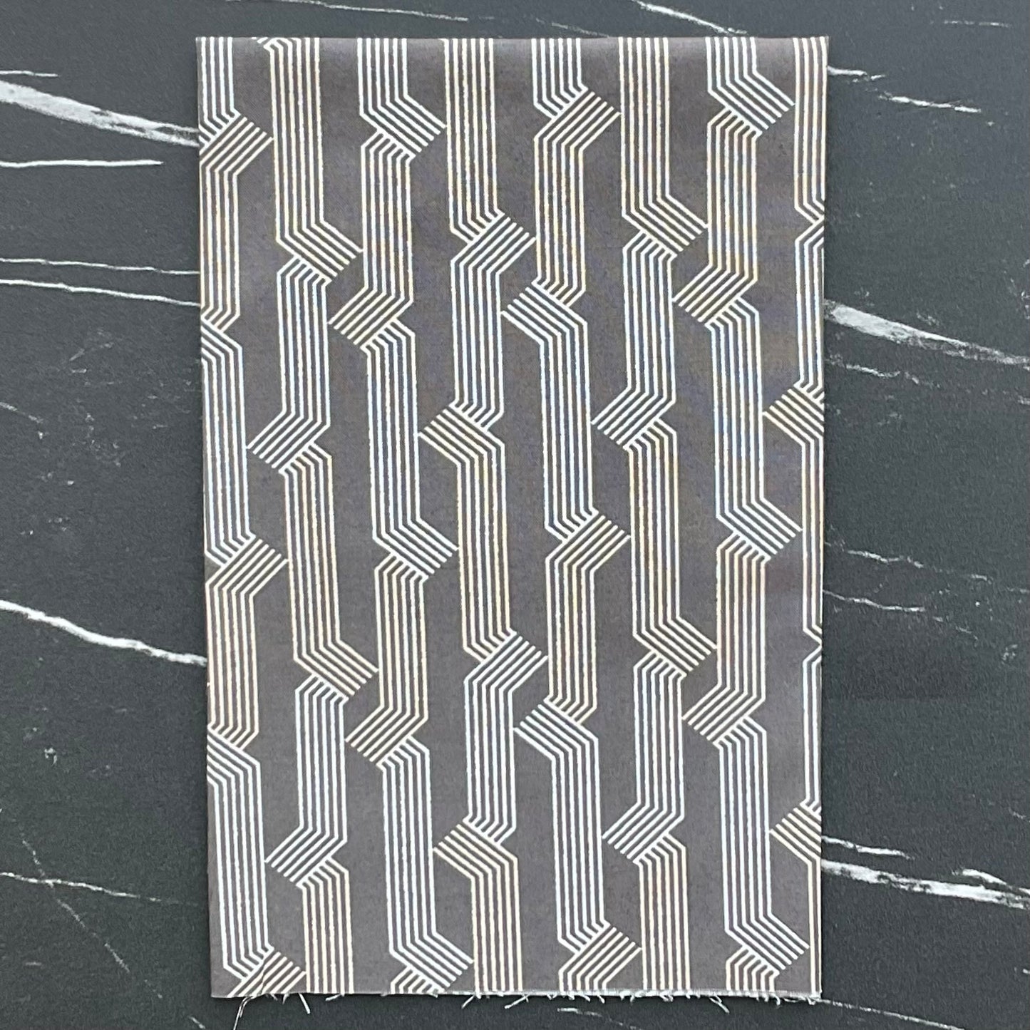 Sunbeam by Rashida Coleman Hale Folding Caviar RS1061 17