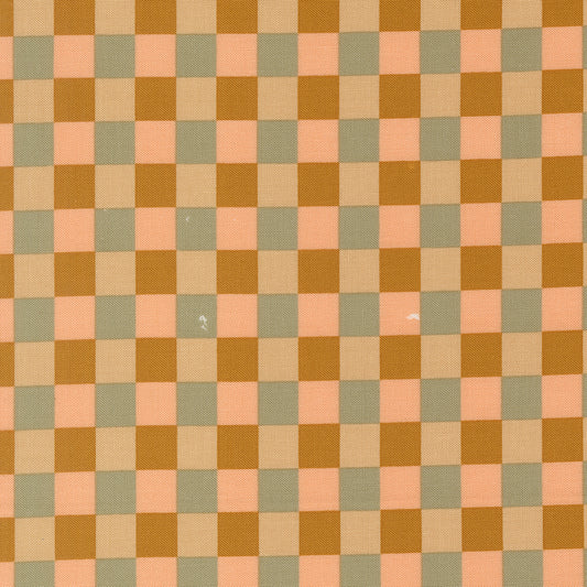 Sunlit Ruins by Jessica Rose : Gingham Cloud Golden 38167 16