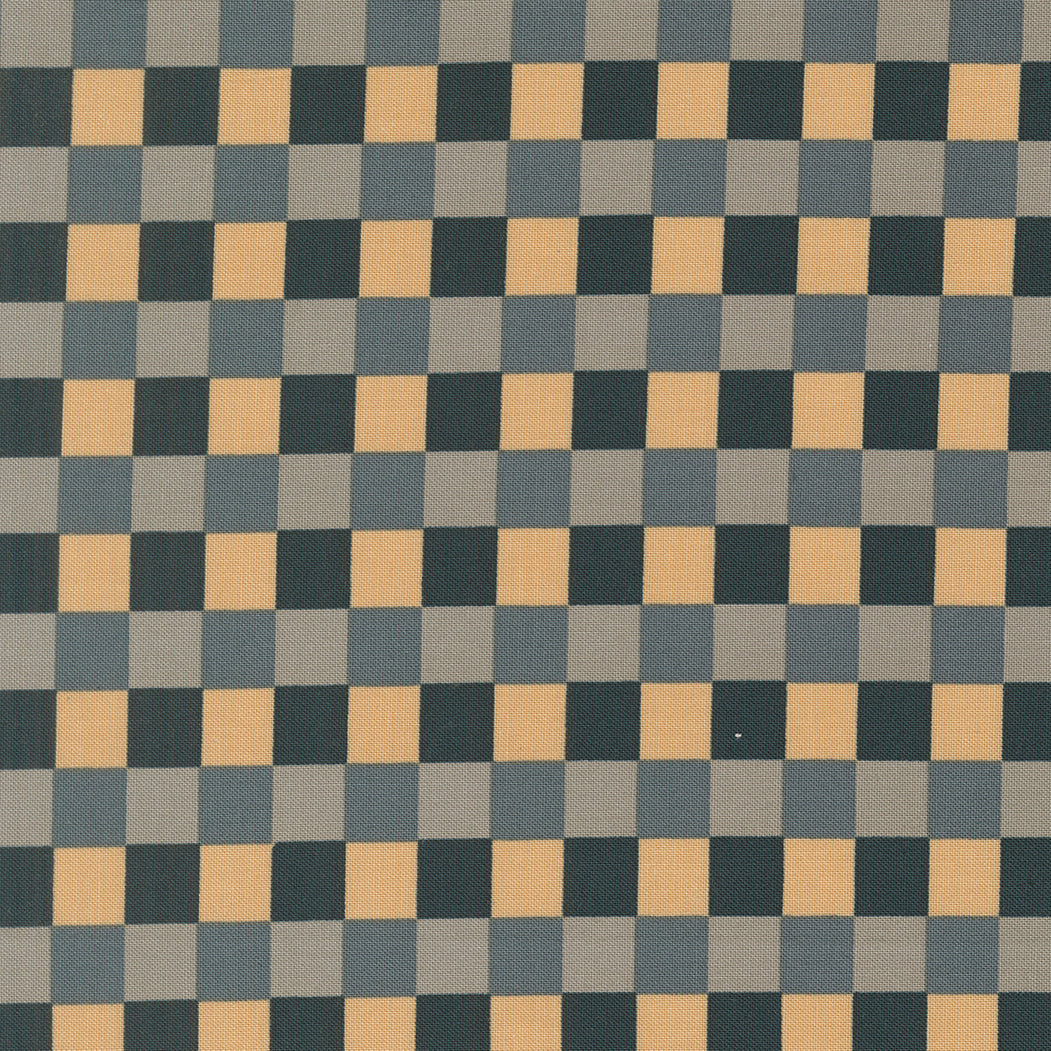 Sunlit Ruins by Jessica Rose : Gingham Cloud Nightfall 38167 18