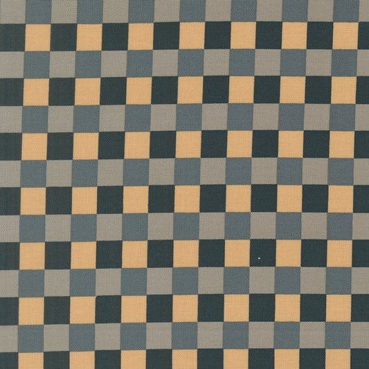 Sunlit Ruins by Jessica Rose : Gingham Cloud Nightfall 38167 18