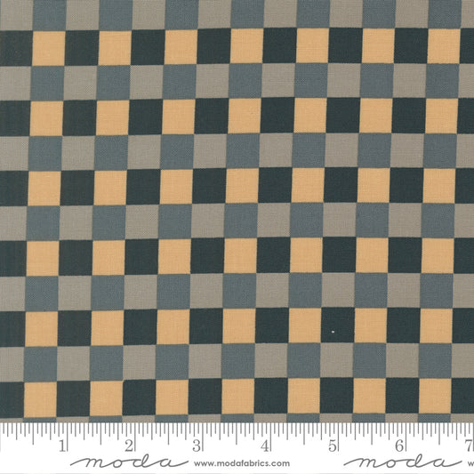 Sunlit Ruins by Jessica Rose : Gingham Cloud Nightfall 38167 18