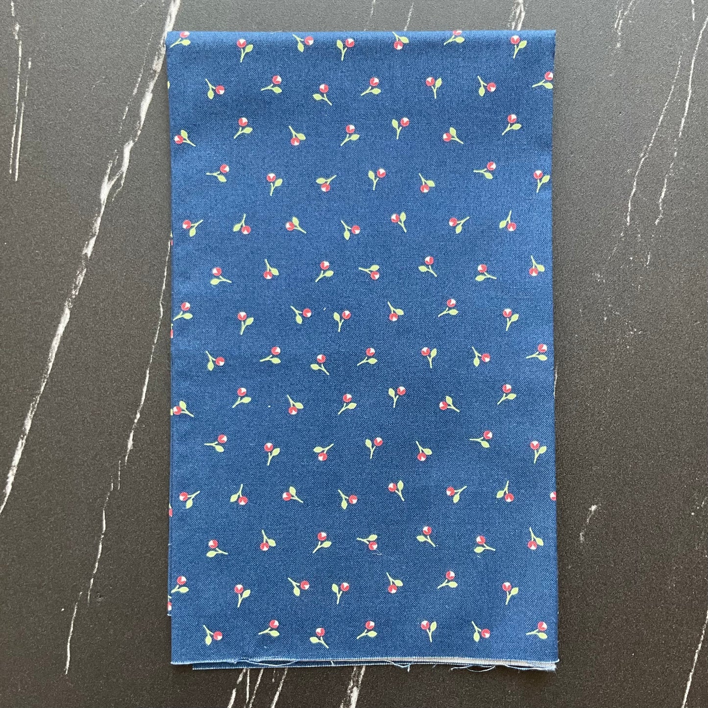 Sunwashed by Corey Yoder : Bittie Buds Midnight 29164 21