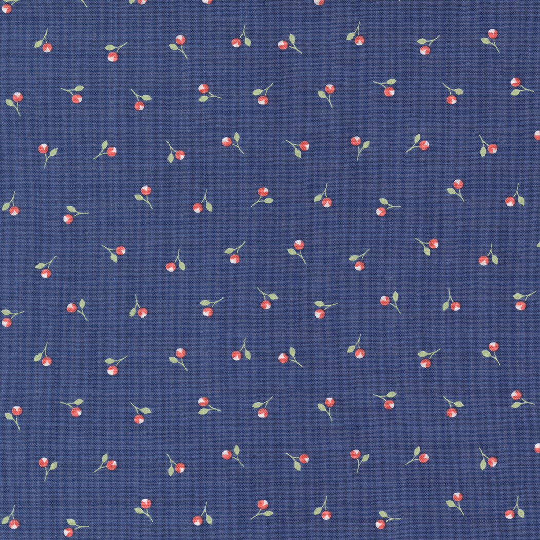 Sunwashed by Corey Yoder : Bittie Buds Midnight 29164 21