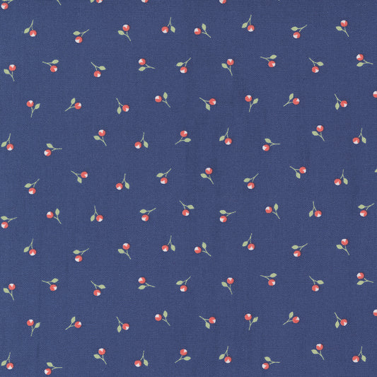 Sunwashed by Corey Yoder : Bittie Buds Midnight 29164 21