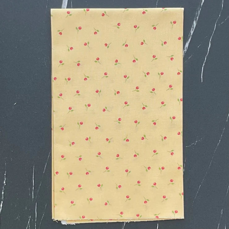 Sunwashed by Corey Yoder : Bundles