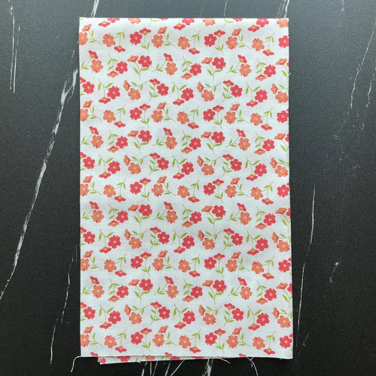 Sunwashed by Corey Yoder : Bundles