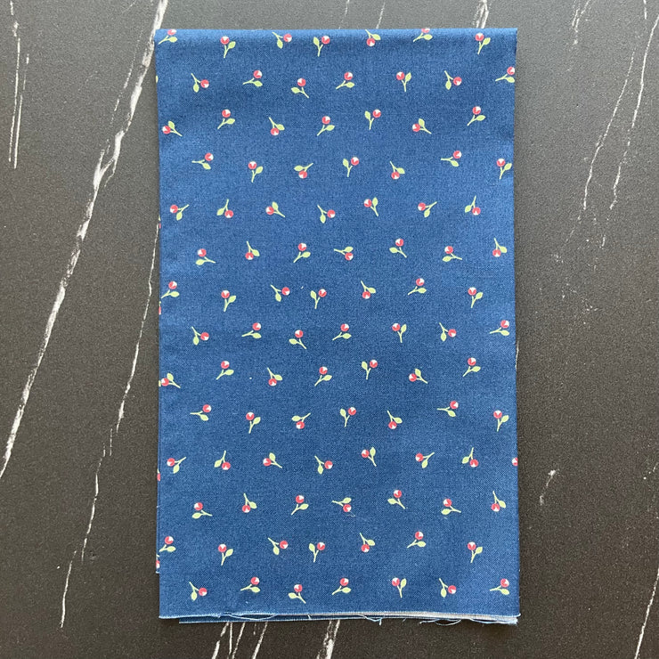 Sunwashed by Corey Yoder : Bundles