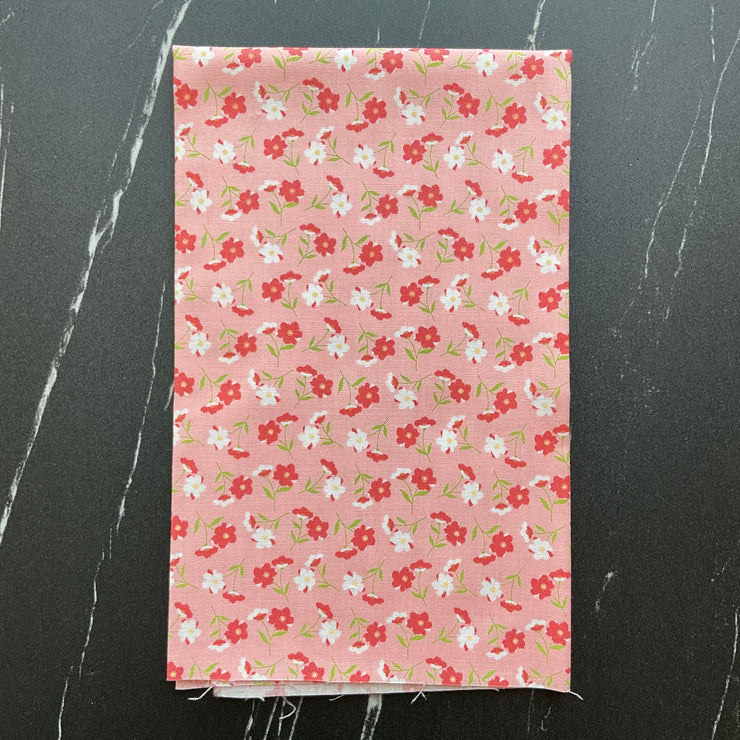 Sunwashed by Corey Yoder : Bundles