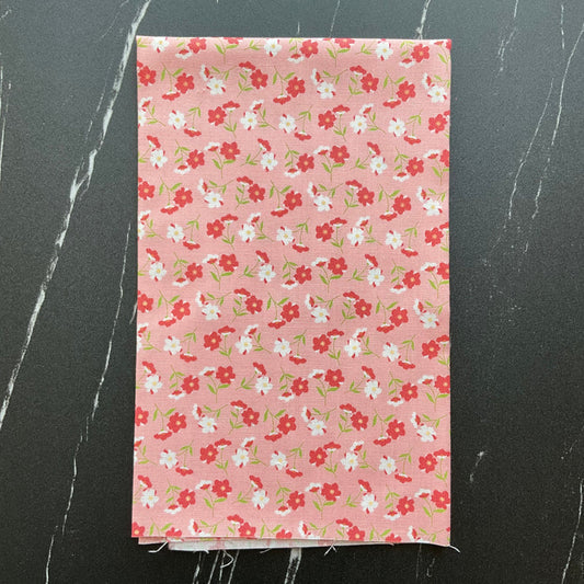 Sunwashed by Corey Yoder : Bundles