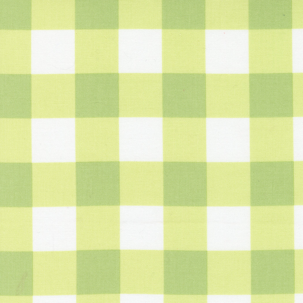 Sunwashed by Corey Yoder : Checks Light Lime 29165 15