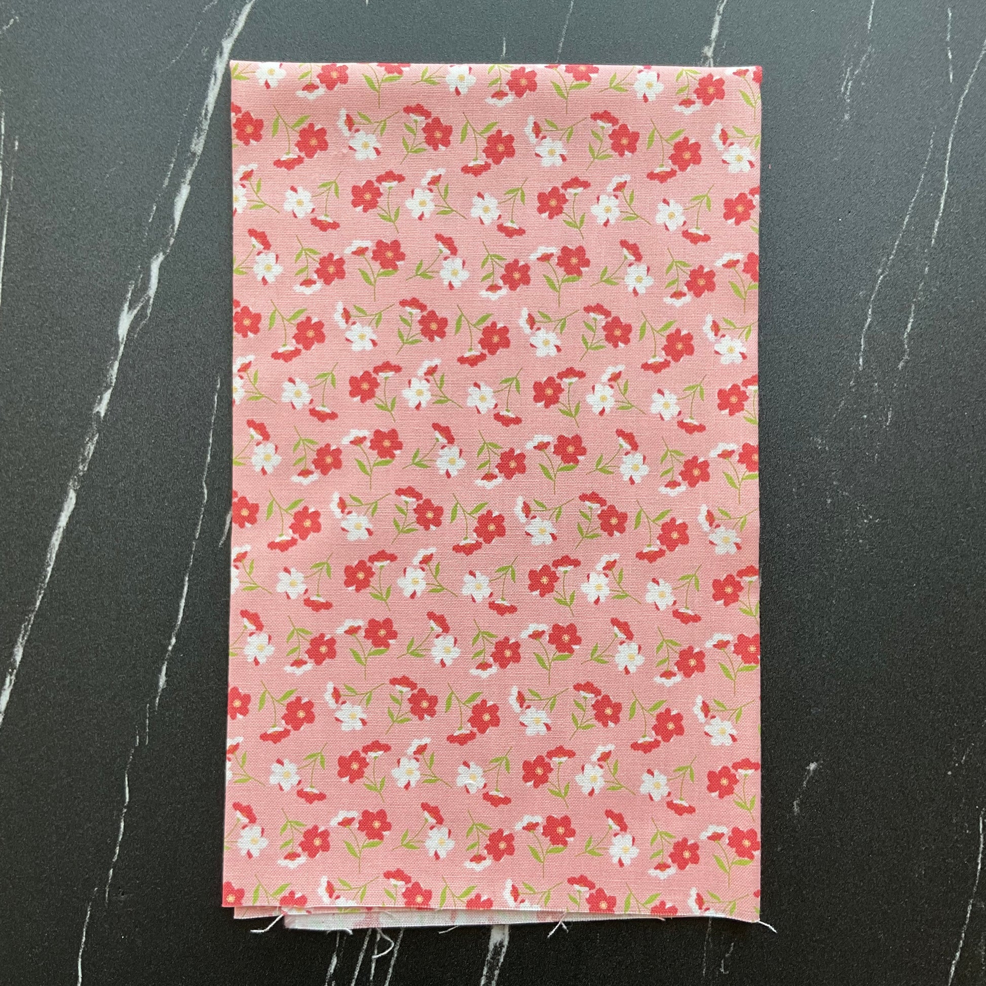 Sunwashed by Corey Yoder : Wildflower Carnation 29162 22