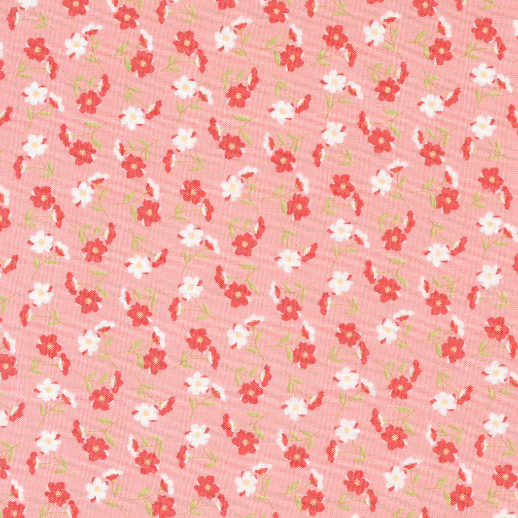 Sunwashed by Corey Yoder : Wildflower Carnation 29162 22