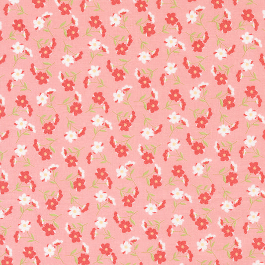 Sunwashed by Corey Yoder : Wildflower Carnation 29162 22