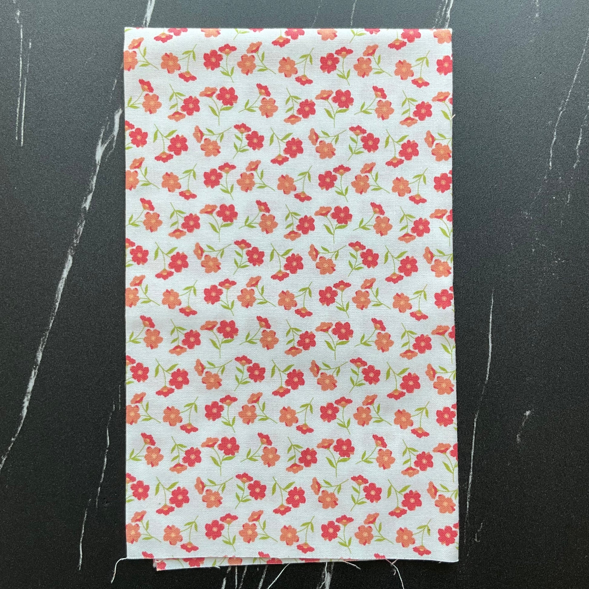 Sunwashed by Corey Yoder : Wildflower Cloud 29162 11