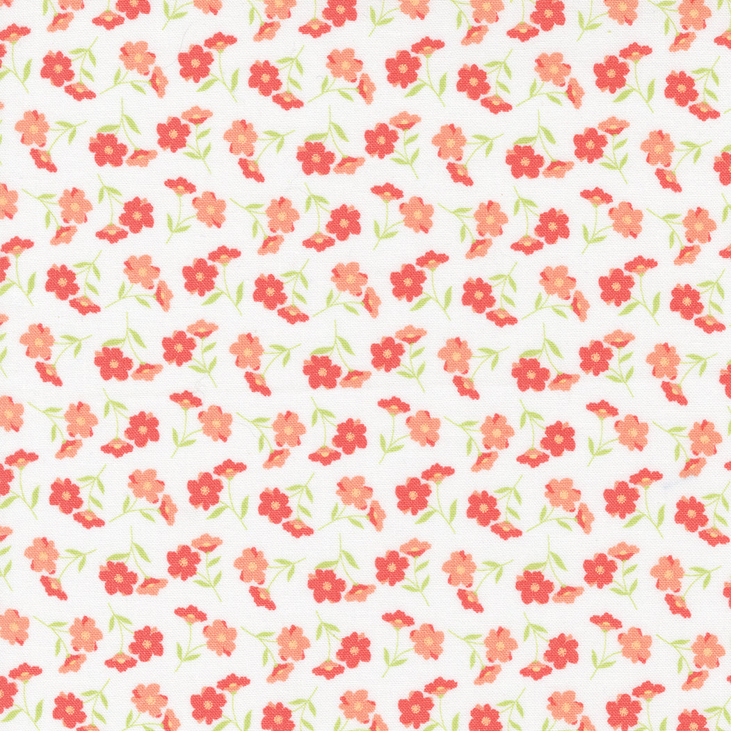 Sunwashed by Corey Yoder : Wildflower Cloud 29162 11