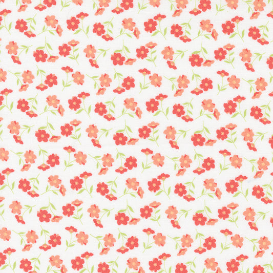 Sunwashed by Corey Yoder : Wildflower Cloud 29162 11