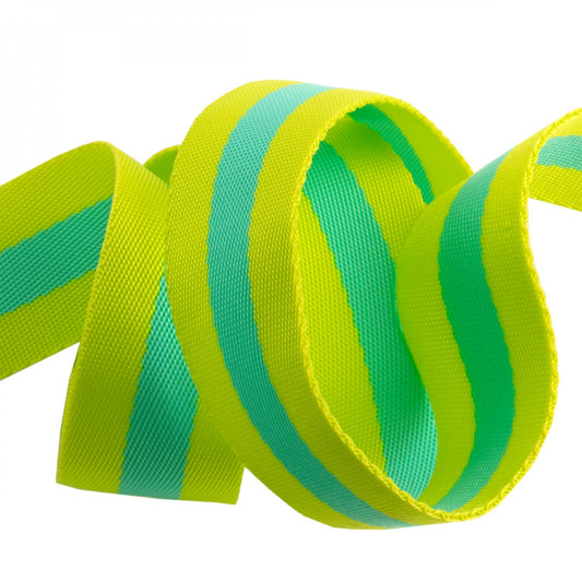 Tula Pink Webbing 2yd x 1.5in - Lime/Turquoise # TK-90-38MM-04- Special Order