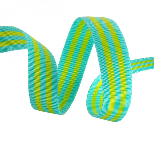 Tula Pink Webbing 2yd x 1in - Lime/Turquoise # TKP-91-2Y-COL04- Special Order