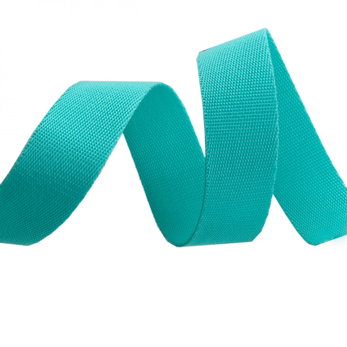 Tula Pink Spirit EverGlow Spirit/Teal Webbing 1in - Special Order