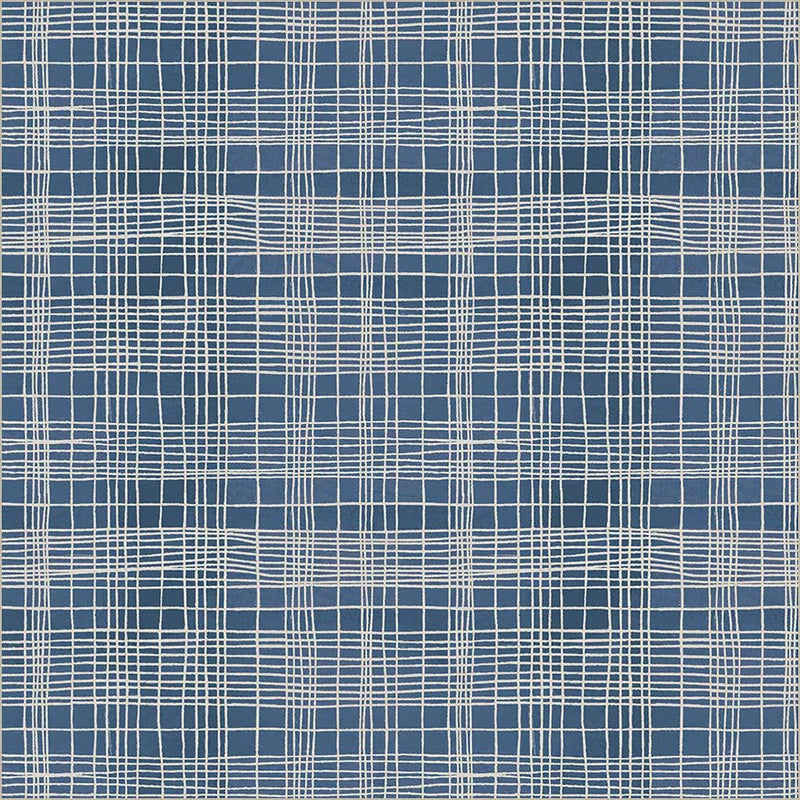 The Plaid One by Marcia Derse : String Theory Plaid Blueprint 54932D-20