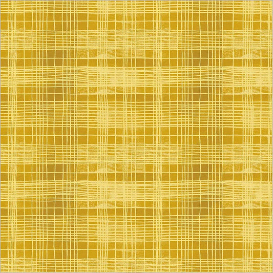 The Plaid One by Marcia Derse : String Theory Plaid Delicata 54932D-22