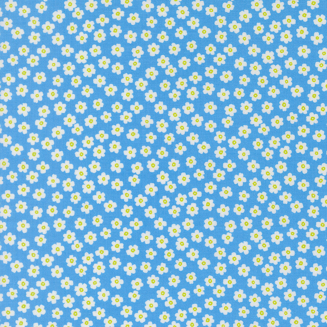 True to Hue by Alli K Design : Petal Power Blue My Mind 11566 14