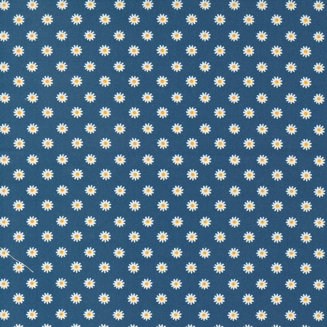 Vintage Soul by Cathe Holden : Daisies Blue