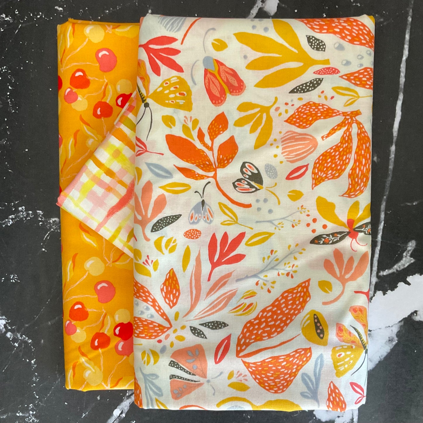 Whole Cloth Quilt Bundle featuring Summersault by Tamara Kate