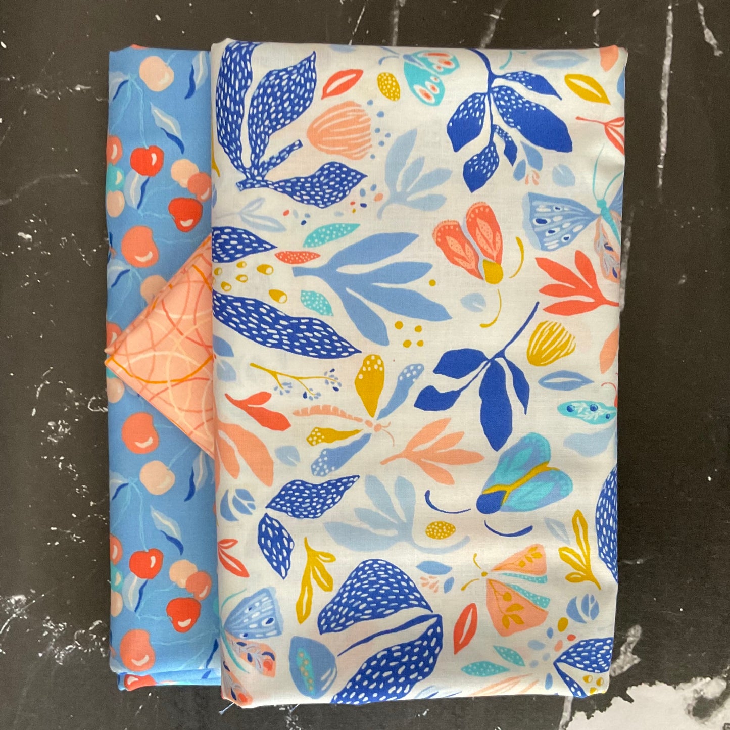 Whole Cloth Quilt Bundle featuring Summersault by Tamara Kate