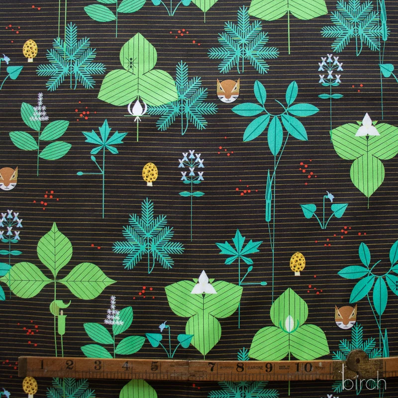 Woodland Wonders by Charley Harper : Foliage Brown CH-458-BROWN