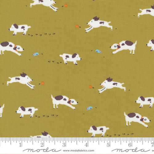 Pips par Aneela Hoey - Pips Puppy Dogs Tails Poire 24592 17