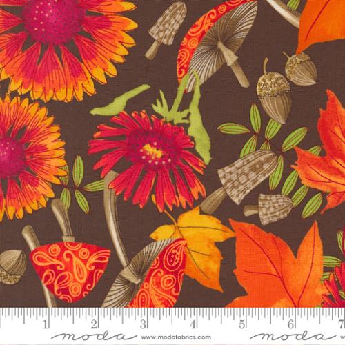 Forest Frolic by Robin Pickens for Moda - Indian Blanket - Chocolate 48740 15