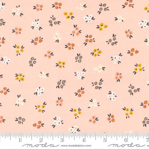 Dawn On The Prairie by Fancy That Design House - Sweet Ditsy - Carnation 45573 22