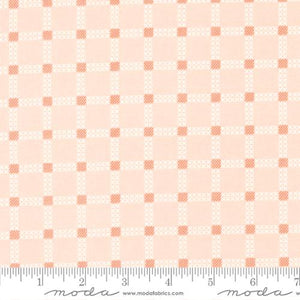 Pre-Order Dawn On The Prairie by Fancy That Design House for Moda - Stitch Check - Carnation 45575 22