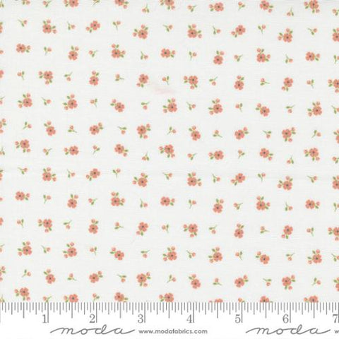 Pre-Order Peachy Keen by Coriander Quilts for Moda - Off White 29175 11