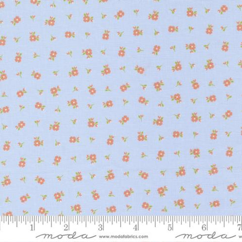 Pre-Order Peachy Keen by Coriander Quilts for Moda - Light Blue 29175 14